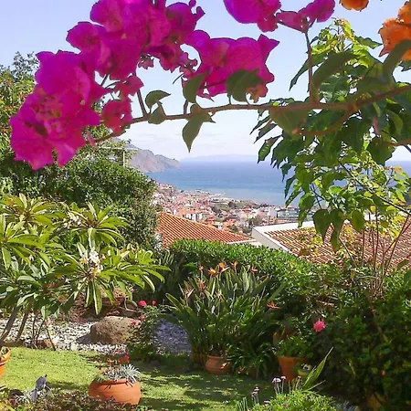 Apartment Building Funchal - Fnc011009-syb *